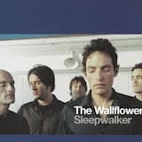 Sleepwalker