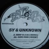 What Is a DJ (remix)