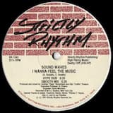 I Wanna Feel the Music (Hype dub)