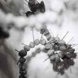 Als Cowboy Verkleidet