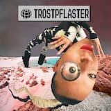 trOstPflastEr