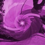 The Server Is Broken