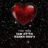 הלילה שבו ניצחה האהבה