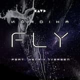 Fly (single mix)