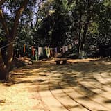 Black, Brown and Gold With a Hint of Black