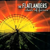 Eggs of Your Chickens