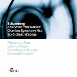 Six Orchestral Songs, op. 8: Das Wappenschild (Des Knaben Wunderhorn)