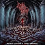 Towards the Ancestors & Endless Dark Matter