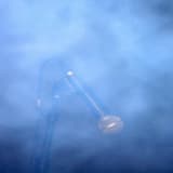 Rock and Roll Session (feat. Jean-Hervé Peron)