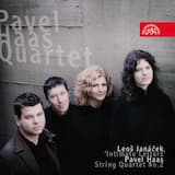 String Quartet no. 2, op. 7 "From the Monkey Mountains": I. Landscape / Krajina (Andante)