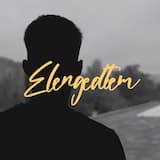Elengedtem