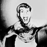 Here Come The Wolves