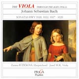 Sonata No. 3, BWV 1029 (G Minor): I. Vivace