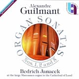 Sonata No. 1 in D minor, Op. 42: I. Introduction et Allegro