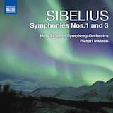 Symphony no. 1 in E minor, op. 39: I. Andante, ma non troppo - Allegro energico