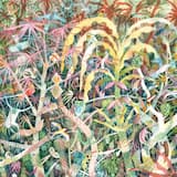 Stroking The Furnace