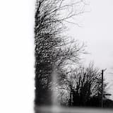 Tyla (akustinė versija)