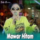 Mawar Hitam