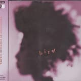 intro 〜bird’s nest〜