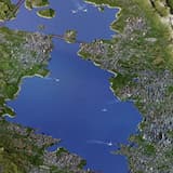 High Population Density