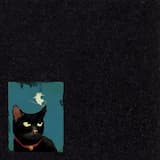 Perfect Imperfection