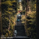 Forest Shrine