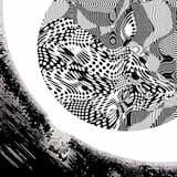 That Winter an Oak Tree Decided Not to Drop Any Leaves