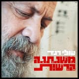 משניתנה הרשות