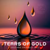 Tears of Gold (instrumental mix)