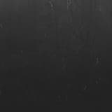 Plant Covered in Smoke