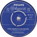 Twee gedroogde rozen