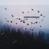 Pharell's Bday (Freestyle)