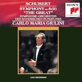 Symphony No. 8 (9) In C Major, D 944 "The Great": I. Andante - Allegro Ma Non Troppo