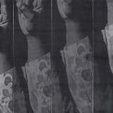 Don’t Want the Regular