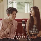 Señorita (acoustic)