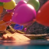 Little Fox Wonderland