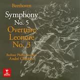 Symphony no. 5 in C minor, op. 67: I. Allegro con brio