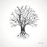 In the Dead of Winter Night