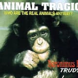 Animal Tragic (Who Are THe Real Animals Anyway?)