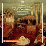 Cello Concerto in B Minor, Op. 67: II. Andante