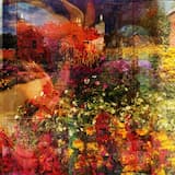 Aerial Sapphire Show