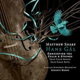 Concertino for Cello and String Orchestra, op. 87: I. Molto moderato – Quasi allegro