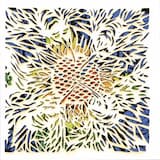 Wwhirlpool, Wwindow Liight Nightt