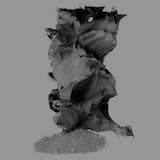 Sentinel - Process Hate - Hope