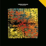 Splinters of a Rainbow Heart