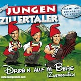 Drobn aufm Berg (Album Version)