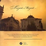 Concerto for horn and orchestra in E-flat major, K.417: I. Allegro