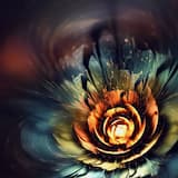 Fans of Imperfection