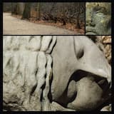 In The Shadow Of Dead Angels