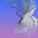 How Vast the Darkness